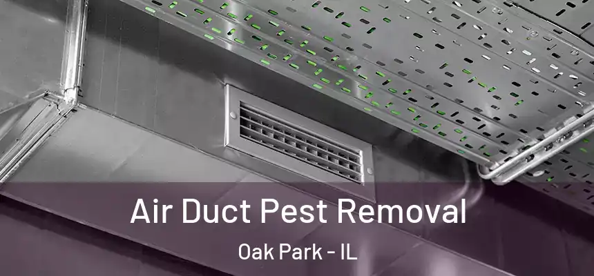  Air Duct Pest Removal Oak Park - IL