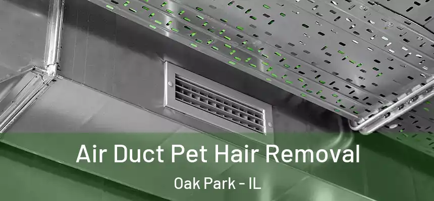  Air Duct Pet Hair Removal Oak Park - IL