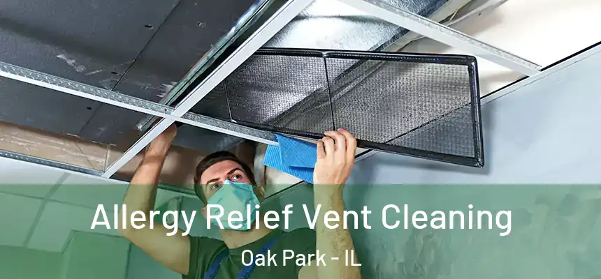  Allergy Relief Vent Cleaning Oak Park - IL
