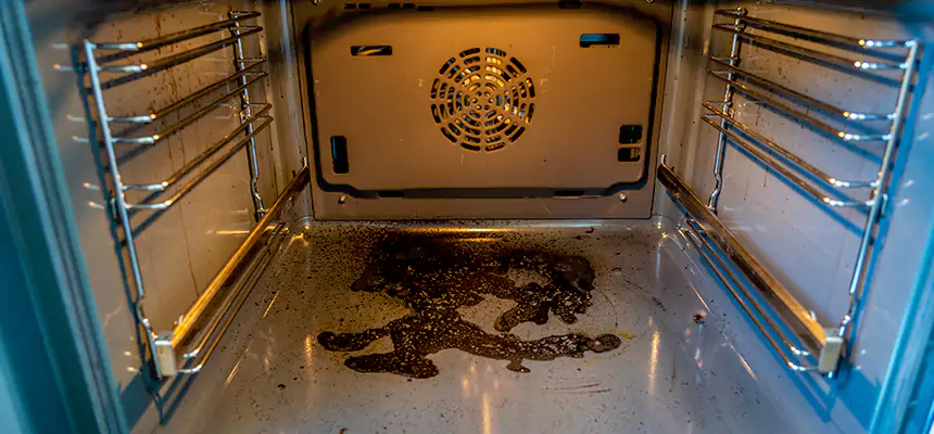 Our Dryer Vent Mold Cleaning Services in Oak Park, IL