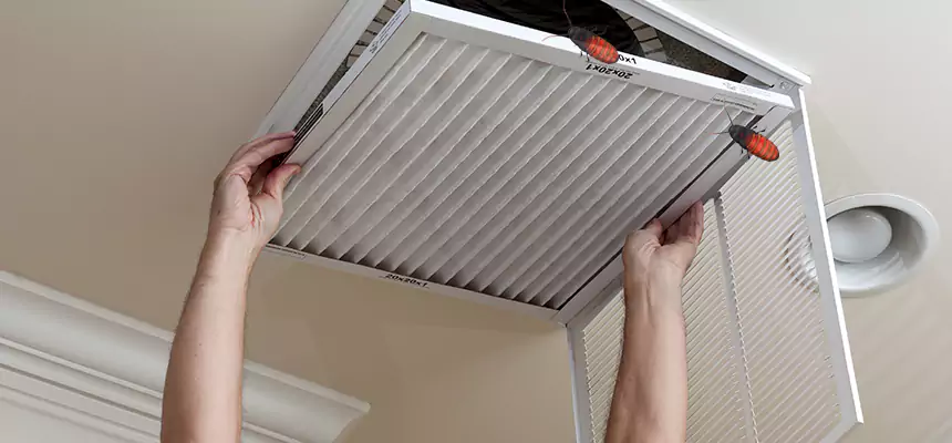 Our Insect Removal from Air Ducts Services in Oak Park, IL