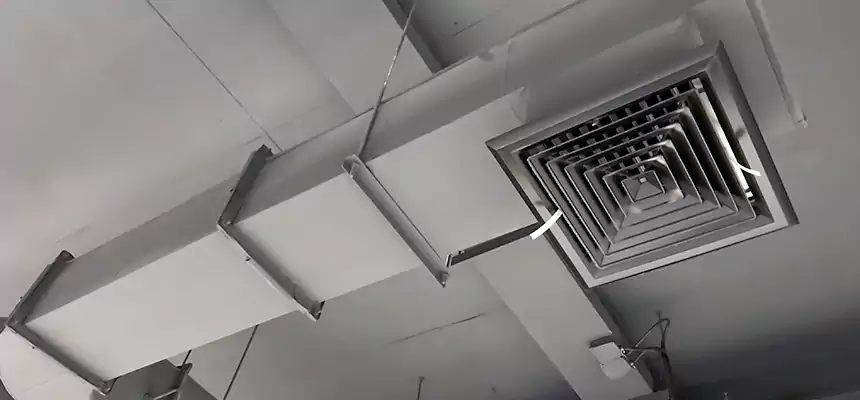 Our Pest Removal From Ducts Services in Oak Park, IL