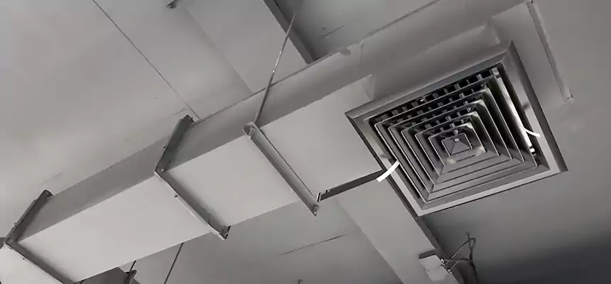 Our Rodent Droppings In Vents Services in Oak Park, IL