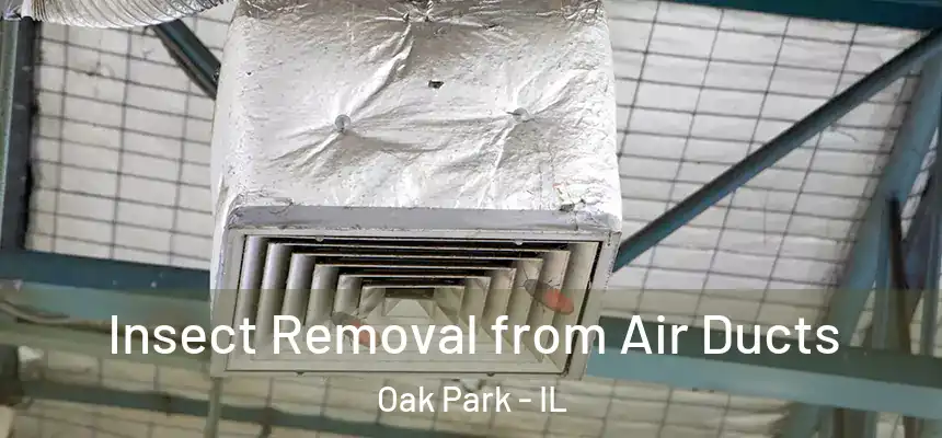  Insect Removal from Air Ducts Oak Park - IL