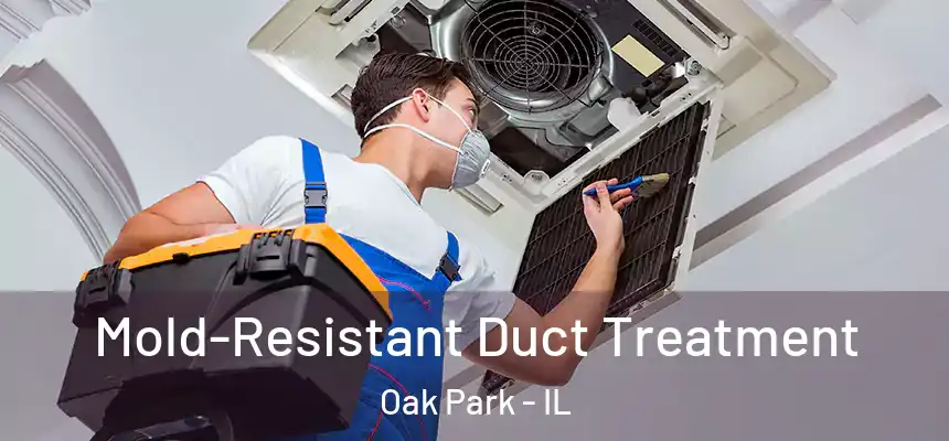  Mold-Resistant Duct Treatment Oak Park - IL