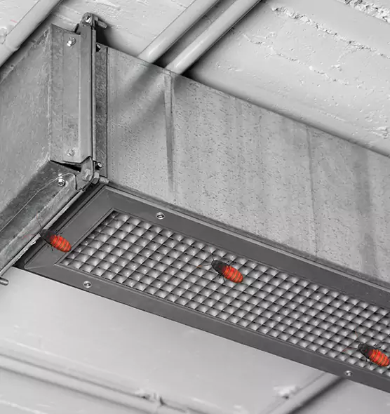 About Air Duct Cockroach Removal in Oak Park, IL