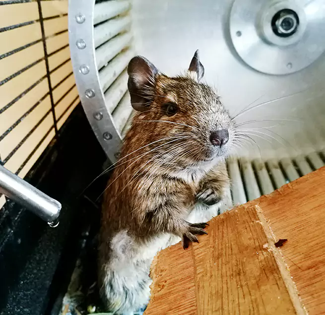 Why Homeowners & Businesses Trust Us Oak Park, IL?