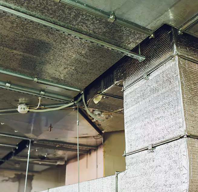 Why Homeowners & Businesses Trust Us in Oak Park, IL?